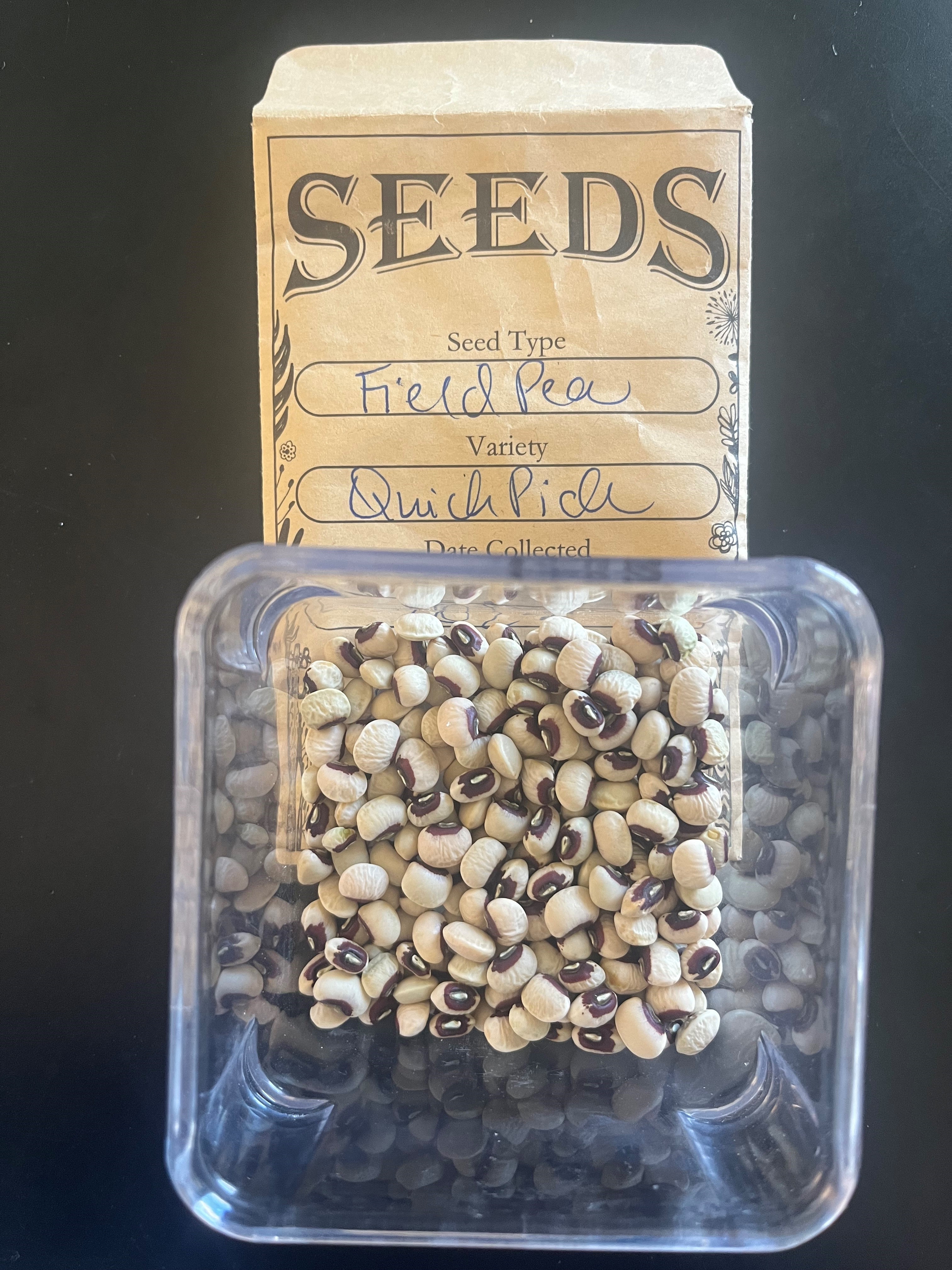 ‘Quickpick ’ Southern Pea